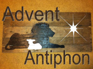 Advent Antiphon